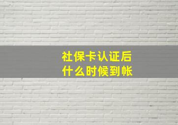 社保卡认证后 什么时候到帐